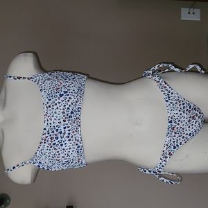 Red White and Blue Bikini